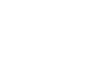 pins Logo RGB wei├ƒ